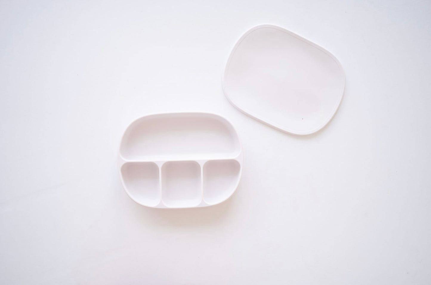 Suction Plate with Lid