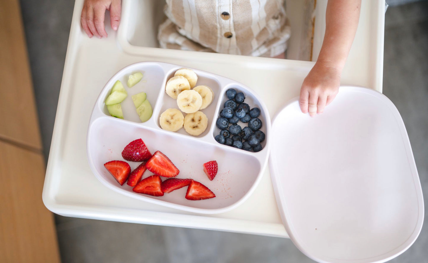 Suction Plate with Lid