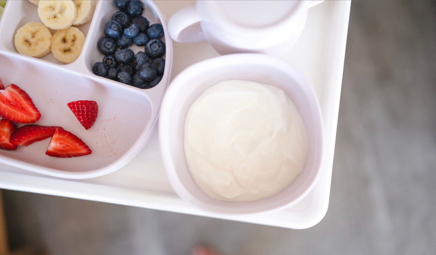 Silicone Suction Bowl