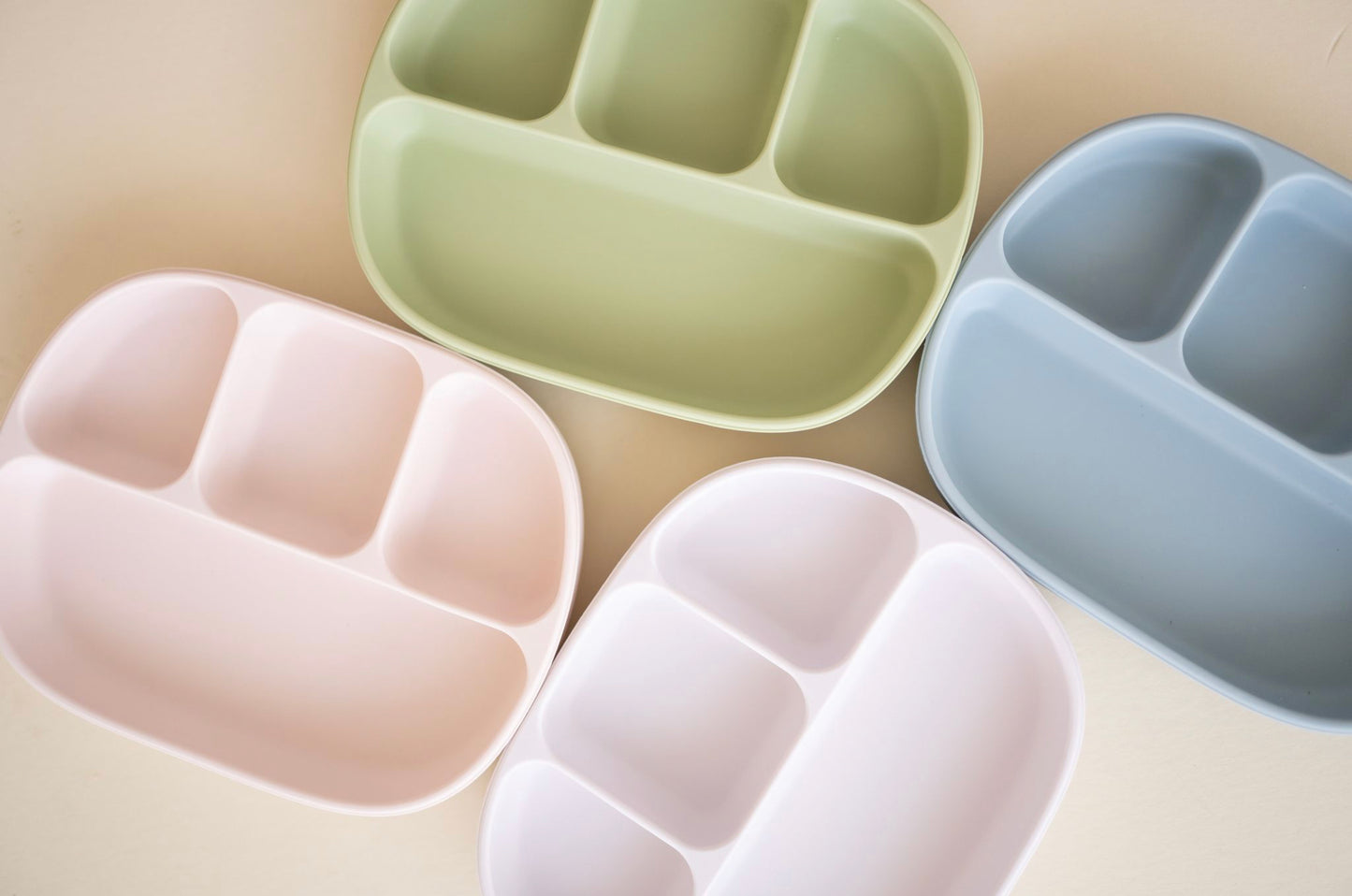 Suction Plate with Lid