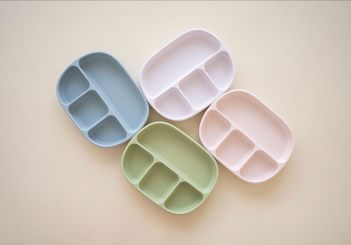 Suction Plate with Lid